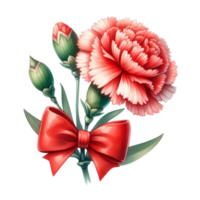 A red carnation with a bow on it png