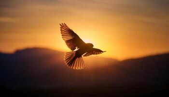 A bird in flight during sunset, with its wings illuminated by the golden light, creating a beautiful silhouette against a glowing sky. photo