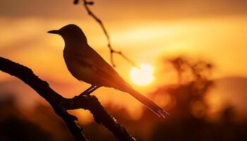 Silhouette of a bird perched on a branch during sunset, creating a peaceful and serene scene with warm golden hues. photo