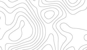Background of the topographic map. Topographic map lines, contour background. Abstract geographic grid. vector