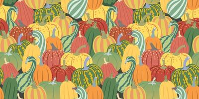 fall seamless pattern with deferent pumpkins without background vector
