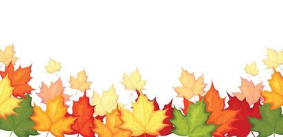 Autumn background with maple leaves in cartoon style. Illustration of maple leaves of different colors, yellow, green, orange, red isolated on a white background. Autumn wallpaper. Banner. vector