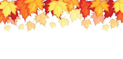Autumn background with falling maple leaves in cartoon style. Illustration of maple leaves in different colors, yellow, orange, red, burgundy, isolated on white background. Wallpaper.Banner. vector