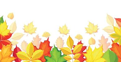 Autumn background in cartoon style. Flat illustration of autumn leaves of different colors and types, maple, oak, ginkgo, birch, chestnut, walnut, branches isolated on white background. Banner. vector
