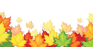 Autumn background with maple leaves in cartoon style. Flat illustration of maple leaves of different colors and sizes,yellow, green, orange, red isolated on a white background. Autumn wallpaper. vector
