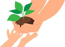 Hands of an adult giving to the hands of a child a plant with green leaves in the soil for planting. vector