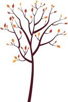 A tree with orange and red leaves in autumn. Indian summer. vector