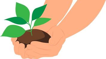 Hands of an adult holding green plant in the soil for planting. vector