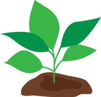 A green plant planted in the soil. vector