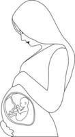 A pregnant woman touching her belly. A baby in the womb is in the fetal position with its head up. Outline style. vector