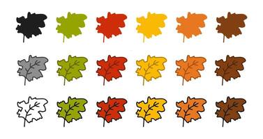 Set of leaf icons featuring colored illustrations, black silhouette, black outline version. Isolated on white background. Concept of nature, autumn, ecology, botanical art, foliage. Design elements. vector