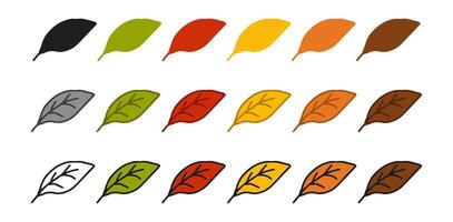 Set of leaf icons featuring colored illustrations, black silhouette, black outline. Isolated on white background. Concept of nature, autumn, ecology, botanical art, foliage. Design elements. vector