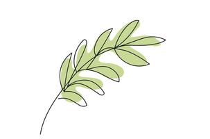 Continuous one line drawing of branch with leaves Isolated on White Background. Line art. Olive branch. Simple Green Leaf Illustration. Plant. Concept of peace, organic element, Nature, Botanical Art vector