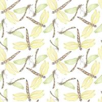 Dragonflies watercolor and shadows seamless pattern isolated on white. Flying insects illustration hand drawn. Colorful sketch bugs with transparent wings. Design for textile, tableware, wrapping. vector