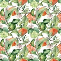 Foliage with assorted citrus fruits and white flowers watercolor seamless pattern isolated on white. Hand drawn grapefruit in botanical sketch style. Jasmine and green bergamot for package, textile. vector
