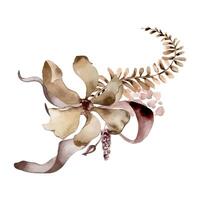 Flower, palm leaf monochrome arrangement in watercolor brown color. Abstract branches in maroon color isolated. Wild plants hand drawn. Design of branding, invitations, printed products, wedding vector