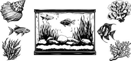 Vintage aquarium set with coral, seaweed, fish, and shells. Hand drawn sketch in engraved style. vector