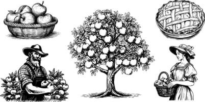 Vintage sketch of a farmer harvesting apples from a tree. Illustration of a happy man and woman with a basket, pie, and farm set. vector