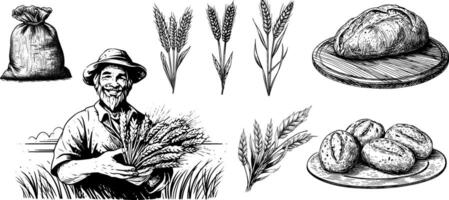 Vintage sketch of wheat and farm elements. Engraved illustration of bread, flour, and farmer for bakery set. vector