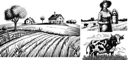 Vintage Sketch of a Happy Farmer with Cow in a Rustic Farm Setting, Featuring Milk Can and Rural Landscape. vector