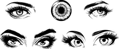 Vintage art of a human eye, featuring detailed woodcut-style illustration of the iris, pupil, and eyelashes. vector