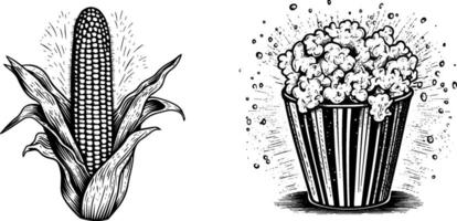 Vintage Sketch of Corn and Popcorn in Retro Style. Concept Set. vector
