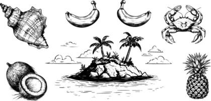 Engraved tropical beach set with palm trees, crab, and shell, coconut, pineapple, and banana. Vintage illustration . vector