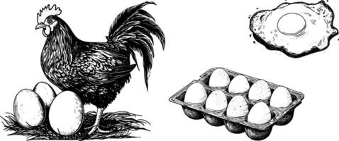 Vintage Sketch of Chicken Eggs in Basket and Box, Hand-Drawn Farm Illustration Set. vector