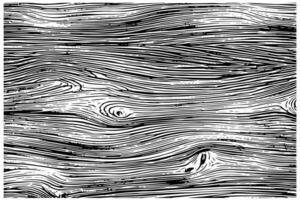 Distress dry wooden overlay texture. Template for design. Pattern for empty background. Illustration in engraved style. vector
