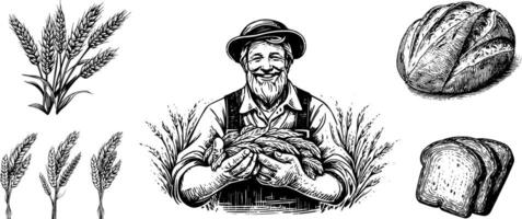 Vintage Sketch of Wheat and Grain, Isolated Drawing of Farmer. Engraved Concept Set. vector