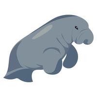 australia animal dugong illustration isolated vector