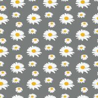 My Favorite Flower Seamless Pattern Design vector