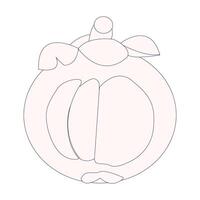 Simple mangosteen fruit sketch, minimalist outline of mangosteen fruit, whole fruit and other half. Ideal for use in illustrations, educational materials, or as icons in various creative projects. vector