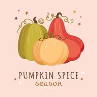 autumn poster with pumpkins and the text Pumpkin Season vector