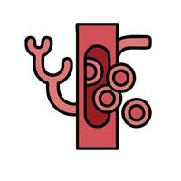 An illustration of a red and white object with a stem vector