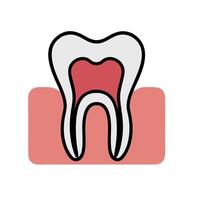 A tooth with a red and white background vector