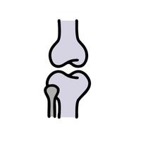 A cartoon illustration of a knee joint vector