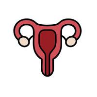 The uterus is shown in a flat line style vector