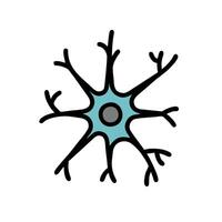 A neuron is shown in a flat style vector