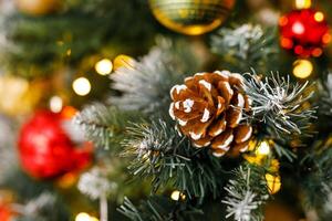 A close-up of a pinecone on a branch of a Christmas Eve. photo