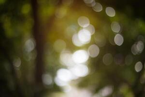 Bokeh light,blurred background photo