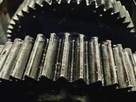 Cogwheel and worm gear lubricant with grease,part of machine in factory photo