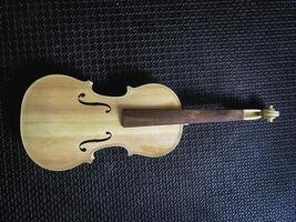 Raw violin made from wood put on background, photo