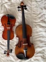 Two different size of violins put on soft cotton cloth, photo