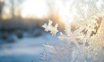 A snowflake is captured in a close up of a frosty branch photo