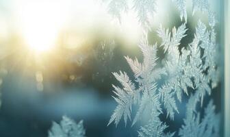 A window with frosted glass and a sun shining through it photo