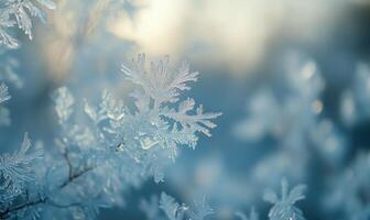 A snowflake is captured in a close up of a branch photo