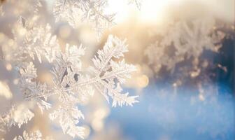 A snowflake is captured in a close up of a branch photo