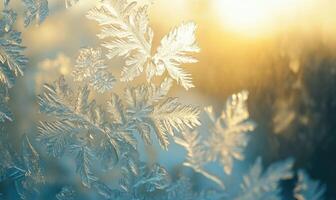 A close up of a snowflake with a sun in the background photo