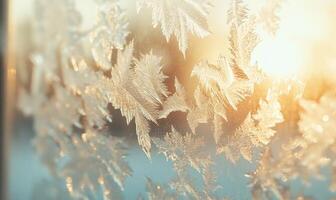 A frosty window with a beautiful pattern of leaves photo
